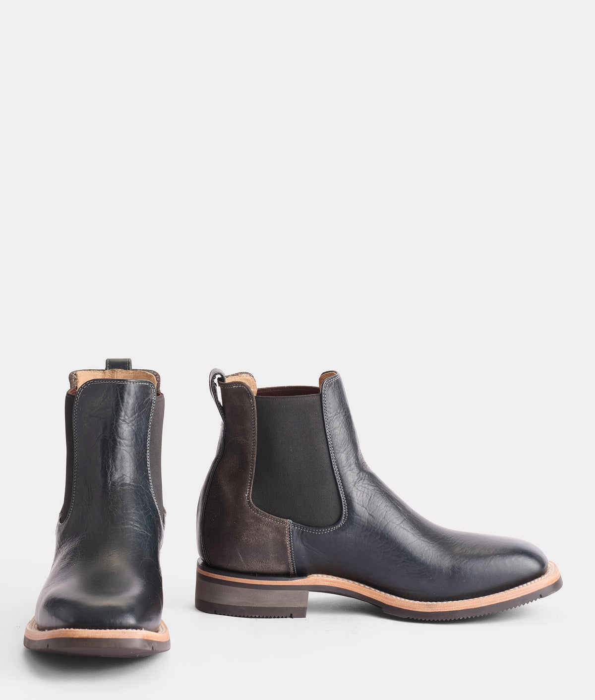 Rex :: Navy 2