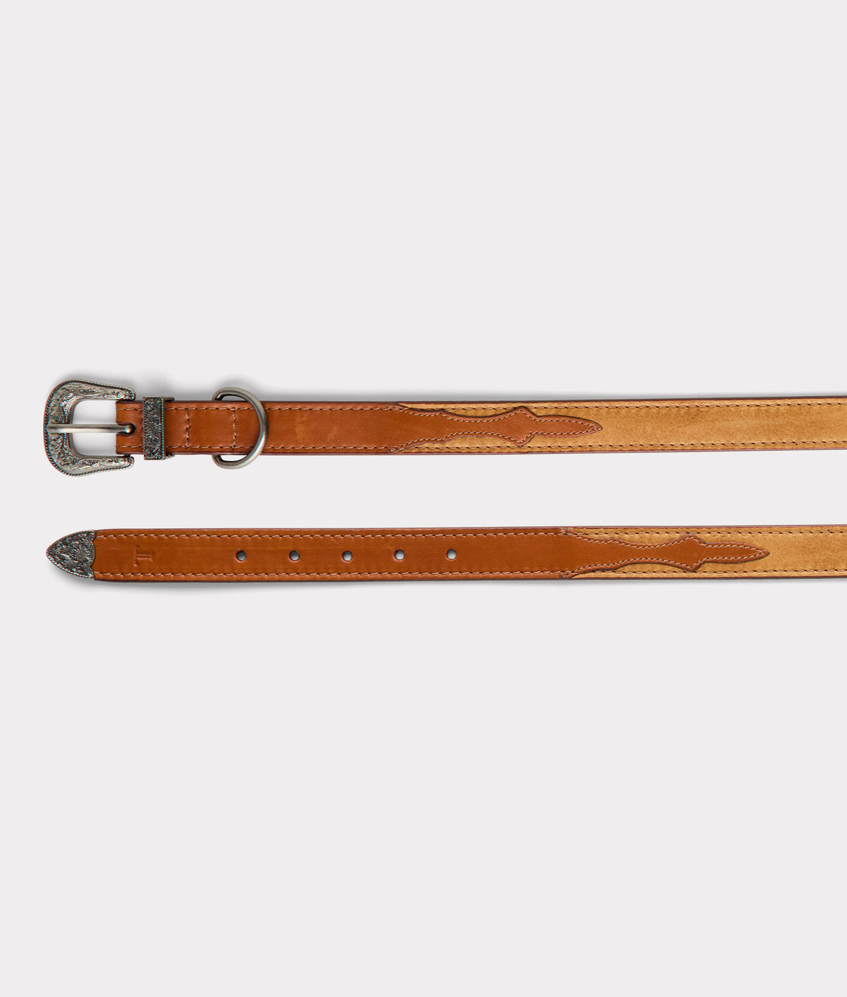 Large Dog Collar :: Tan 6