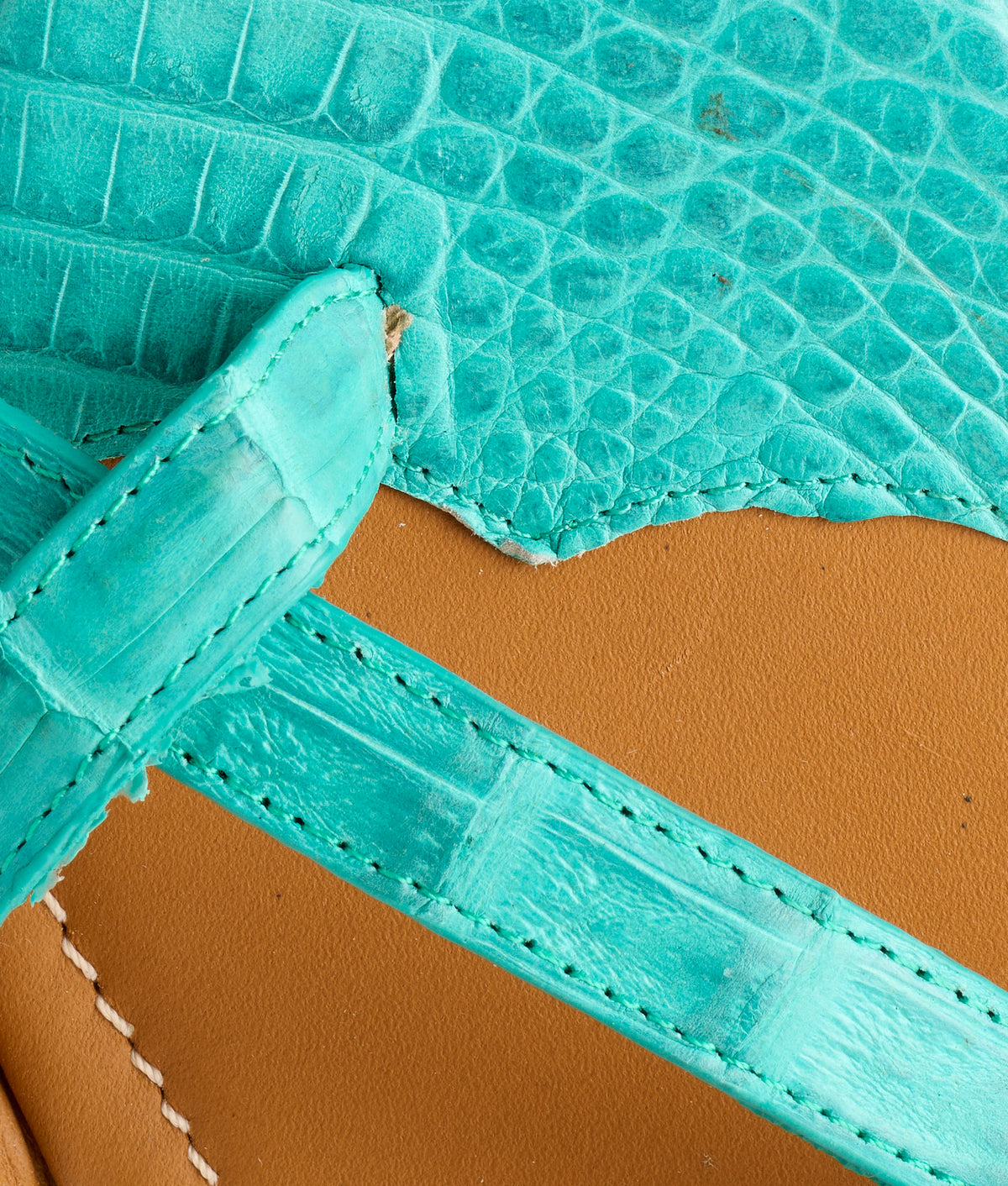 Fiorella :: Turquoise 7