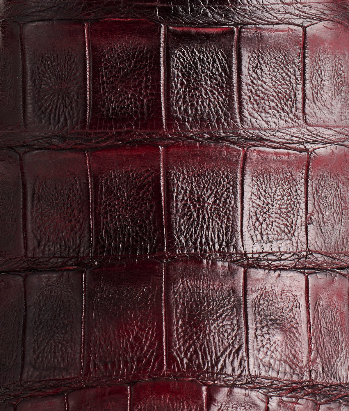 Bryan Exotic :: Black Cherry + Sangria 8