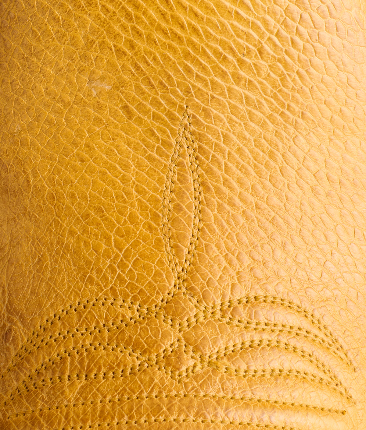Cecil Exotic :: Saddle 8