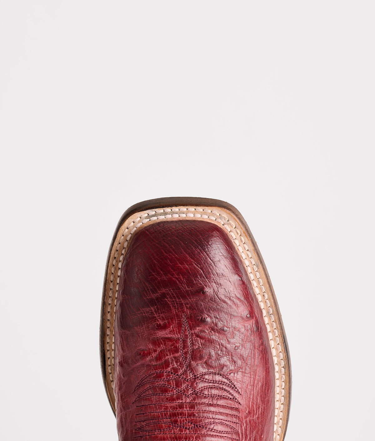 Cecil Exotic :: Black Cherry 7
