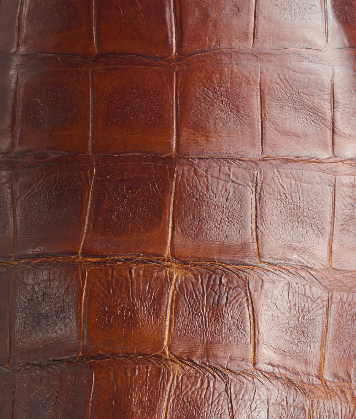 Buckaroo :: Cognac 9