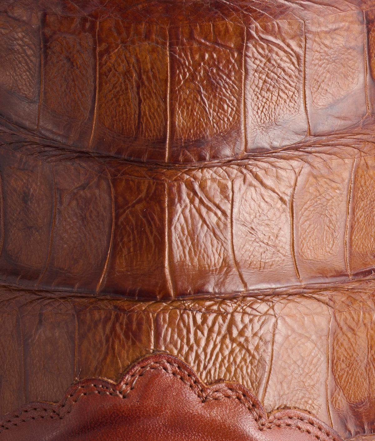 Cody:: Cognac 8