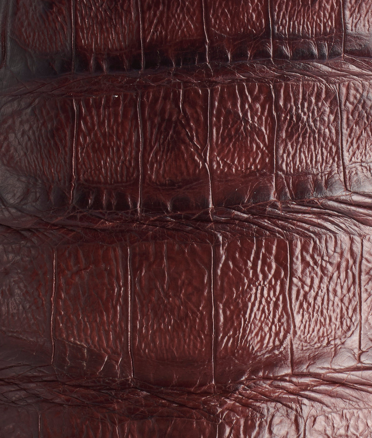 Cody:: Barrel Brown 8