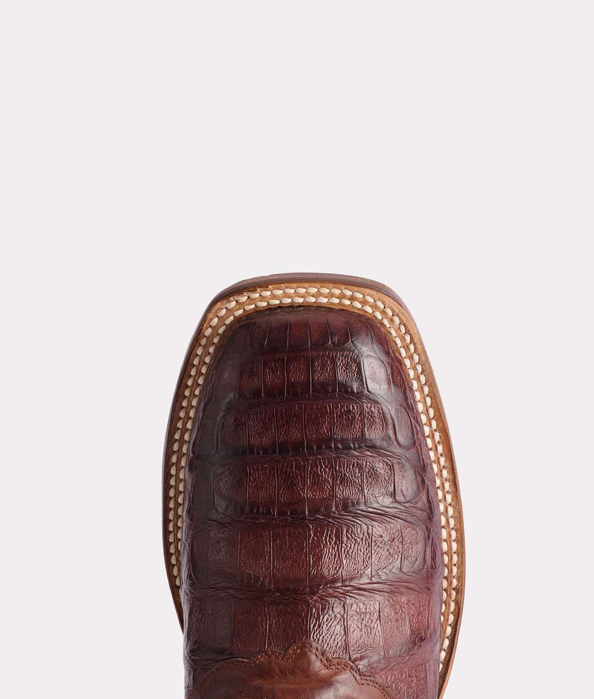 Cody:: Barrel Brown 7