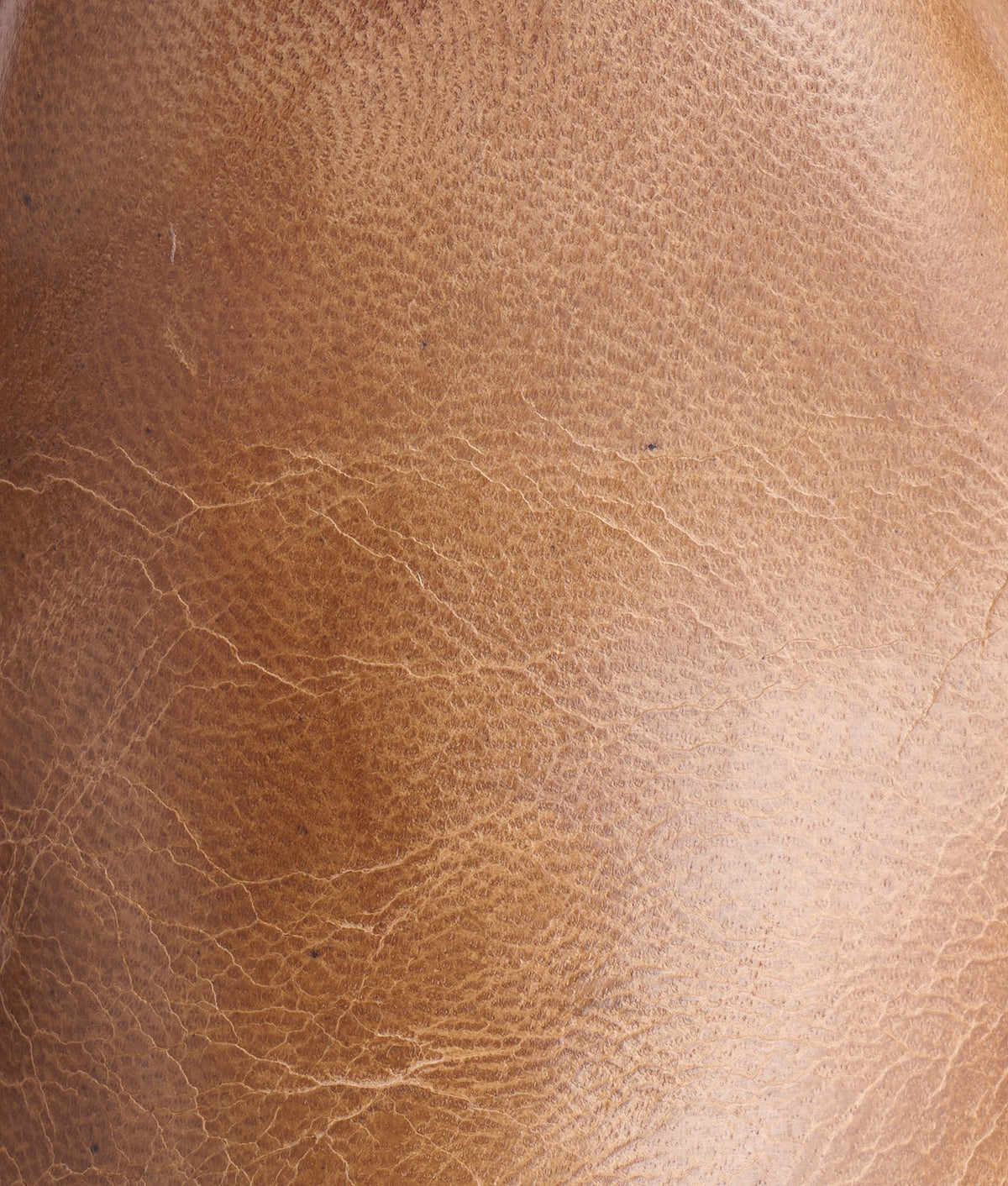 Sunset Roper :: Pearl Bone 9