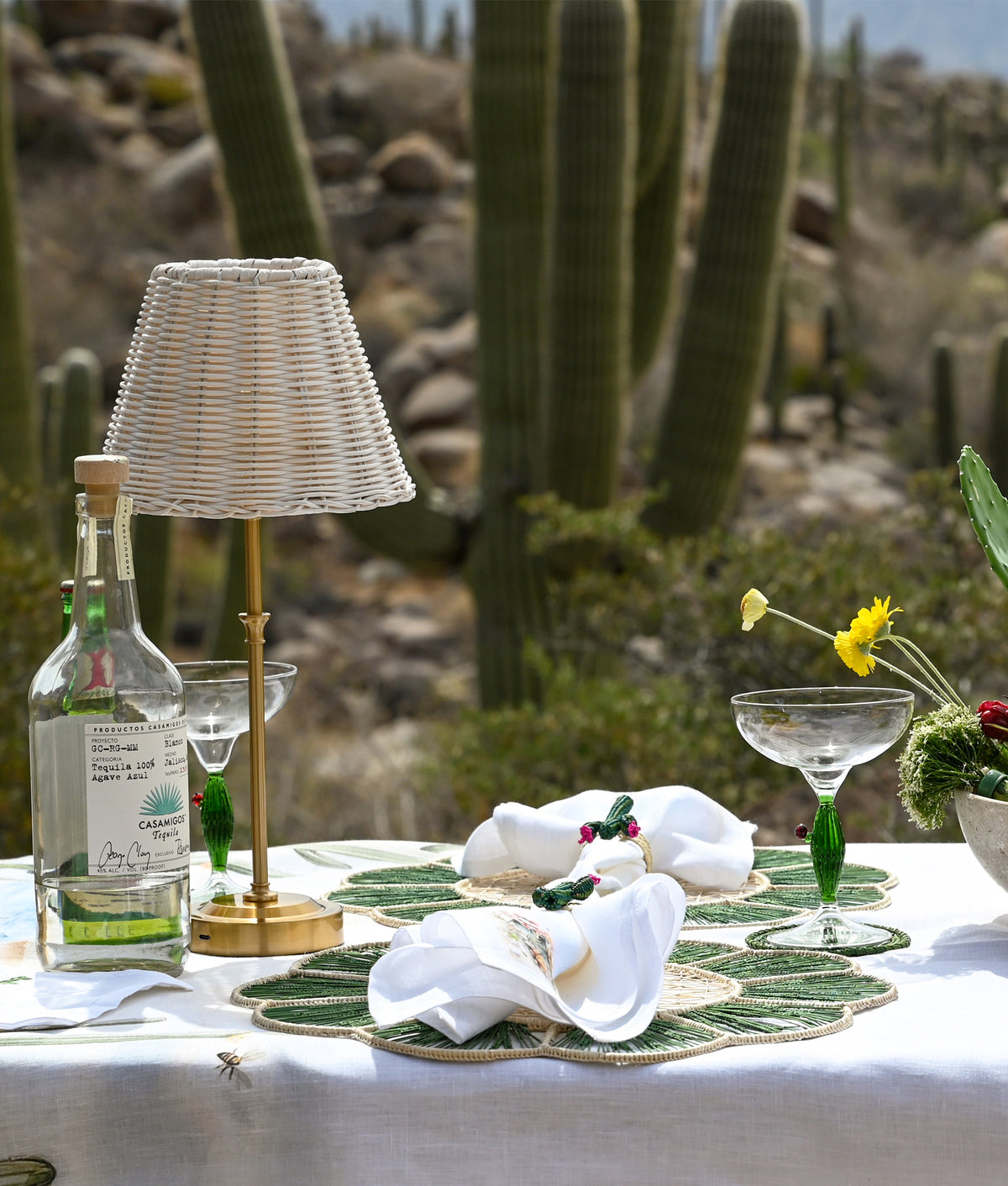 Tucson Saguaro Agave Coasters - Set Of Four :: Green 5
