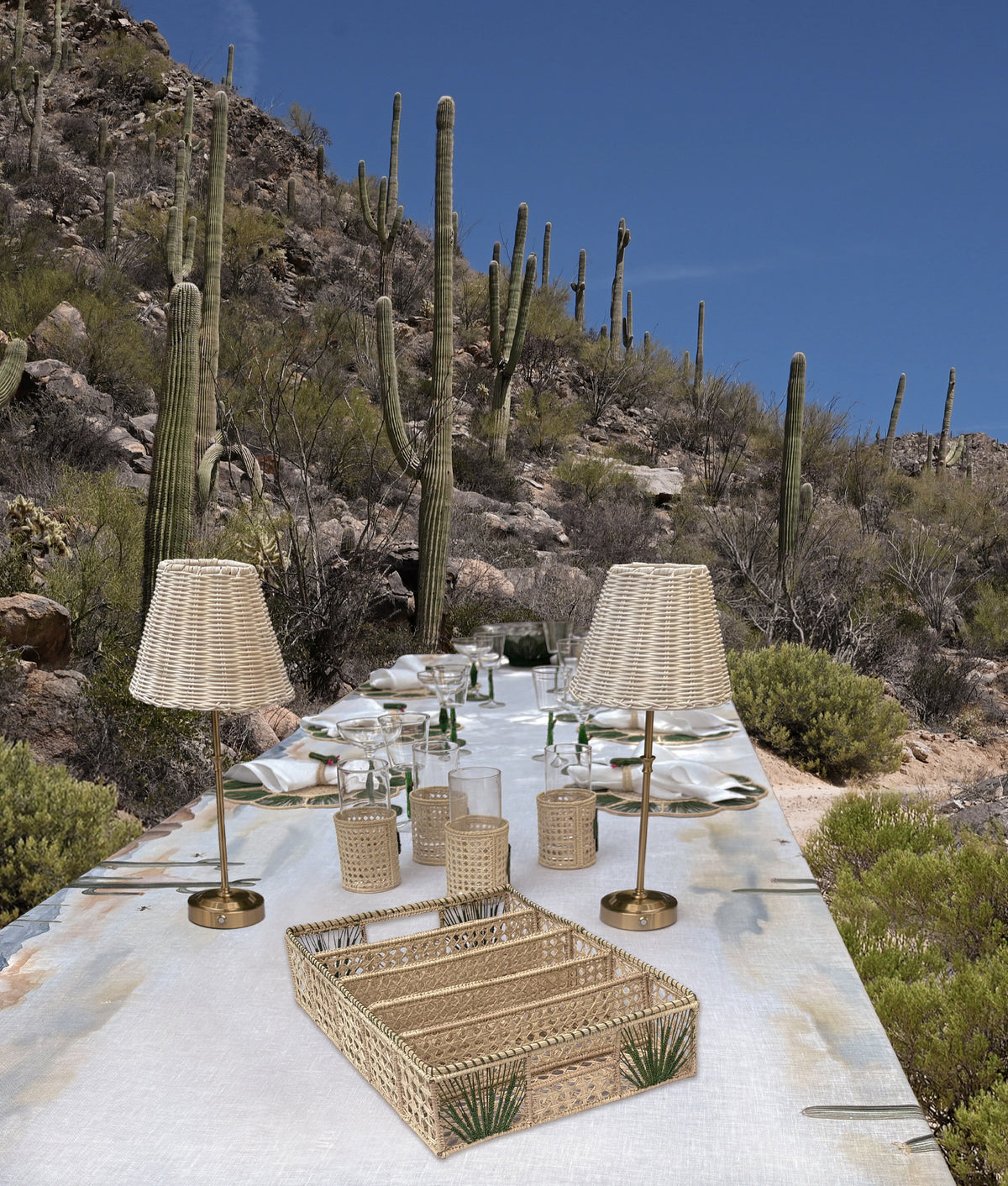 Tucson Saguaro Agave Cutlery Tray :: Green 3