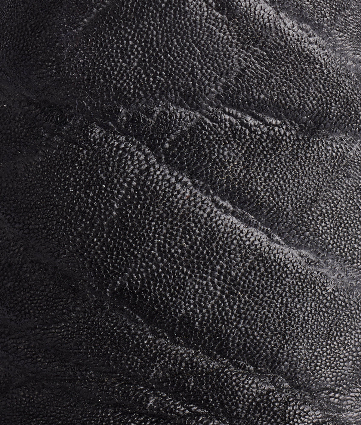 Terlingua :: Black 8