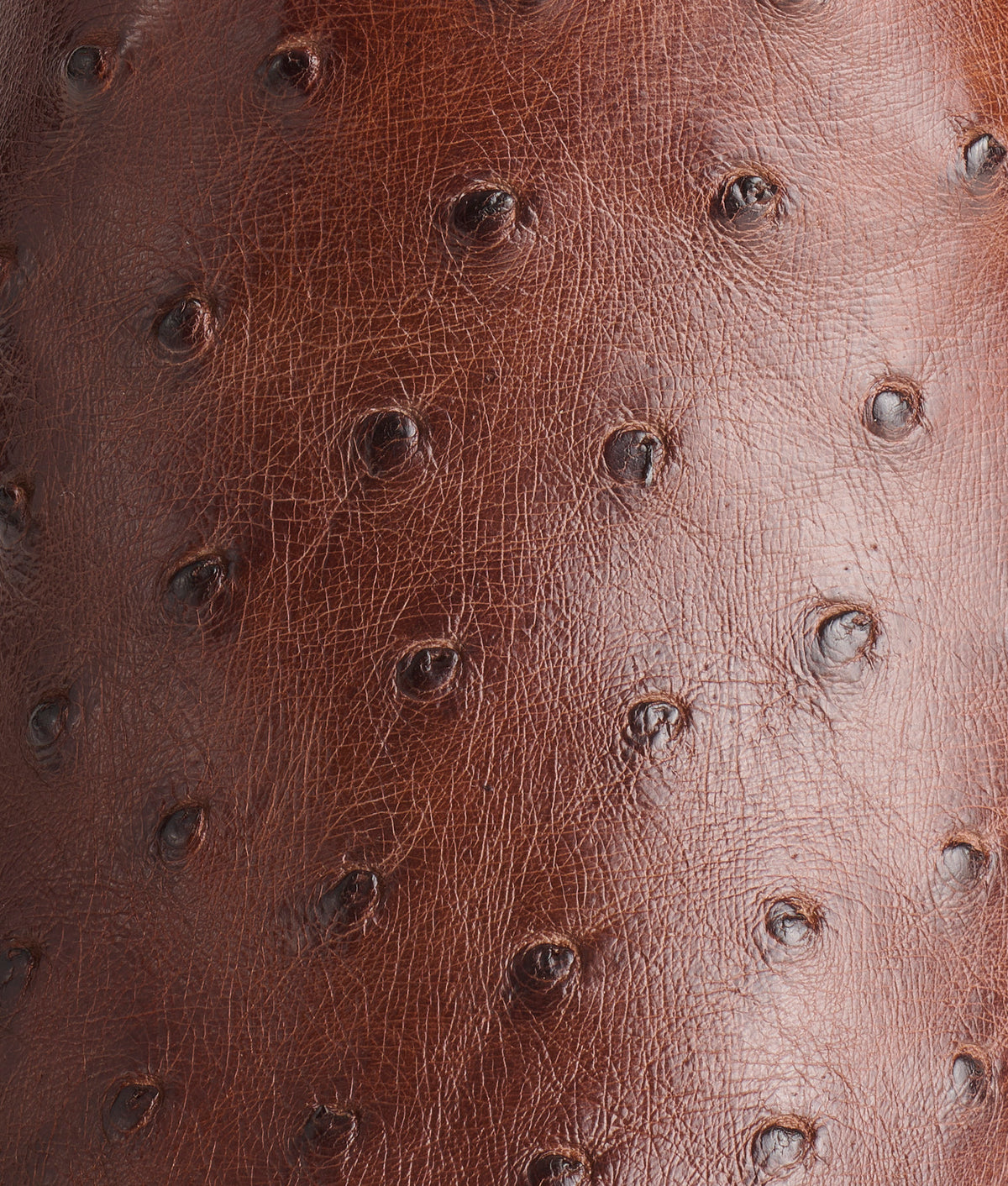 Randall :: Sienna + Pecan 8