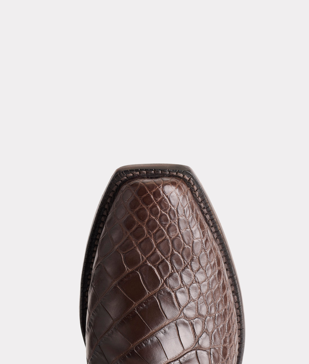 Baron :: Chocolate 7