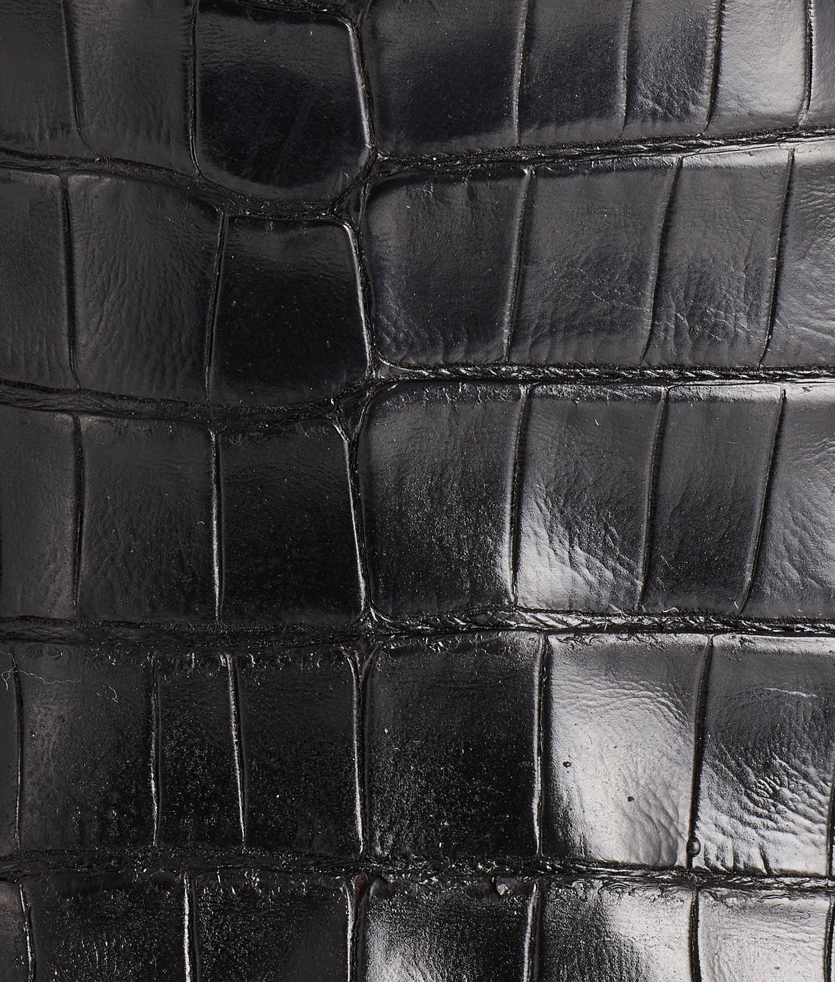 Jones :: Black 8
