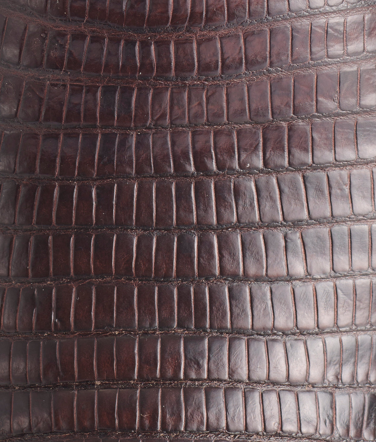 Kip :: Cigar + Dark Brown 8