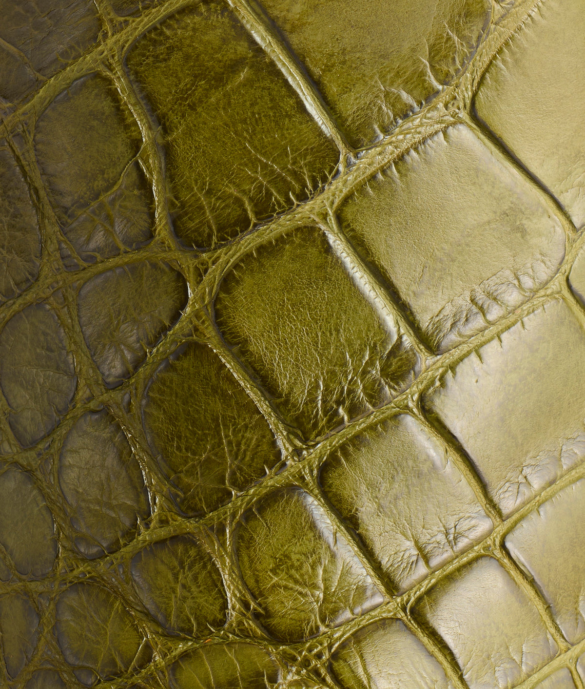Naples, Texas :: Leaf 8
