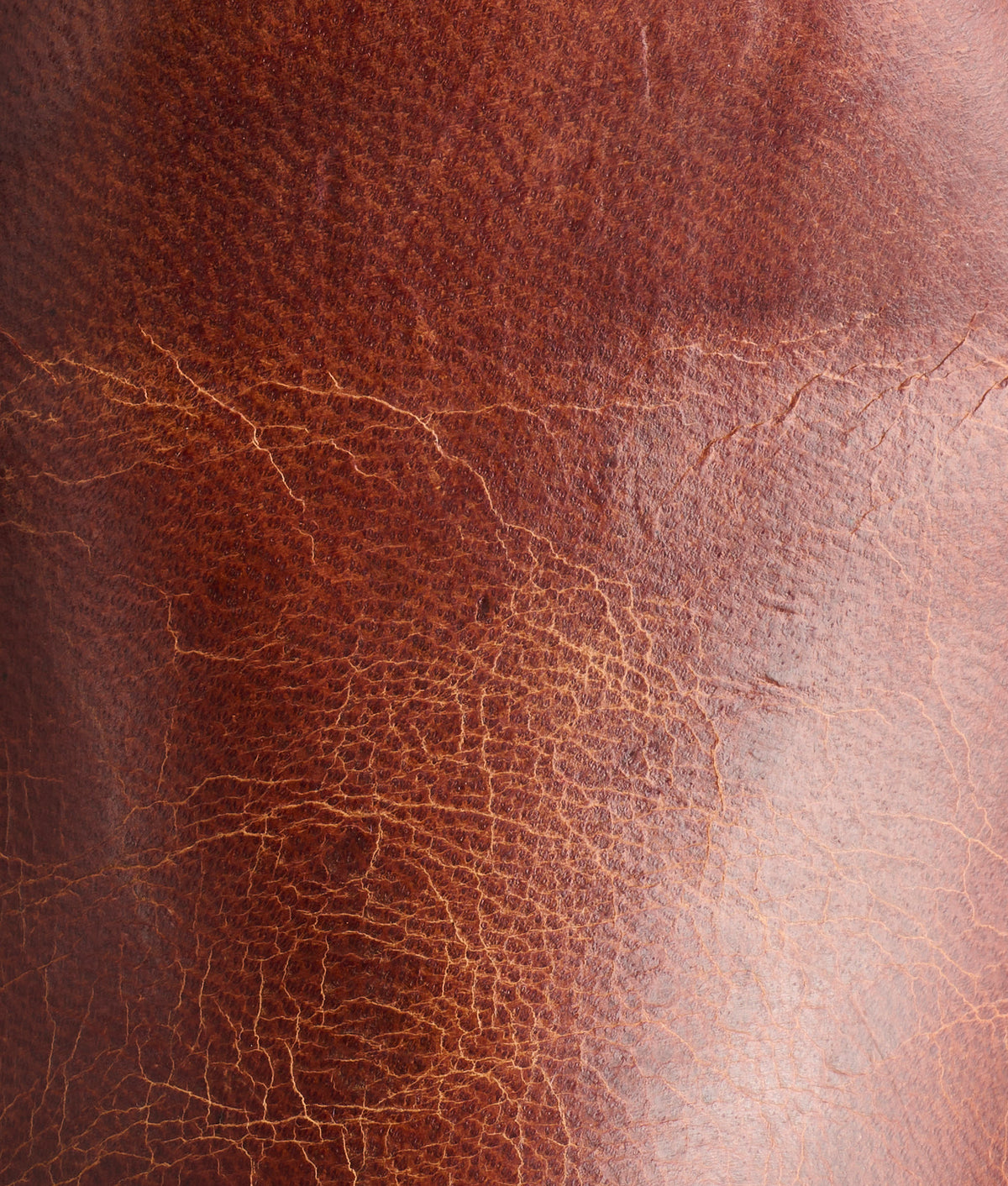 Tanner :: Peanut Brittle 8