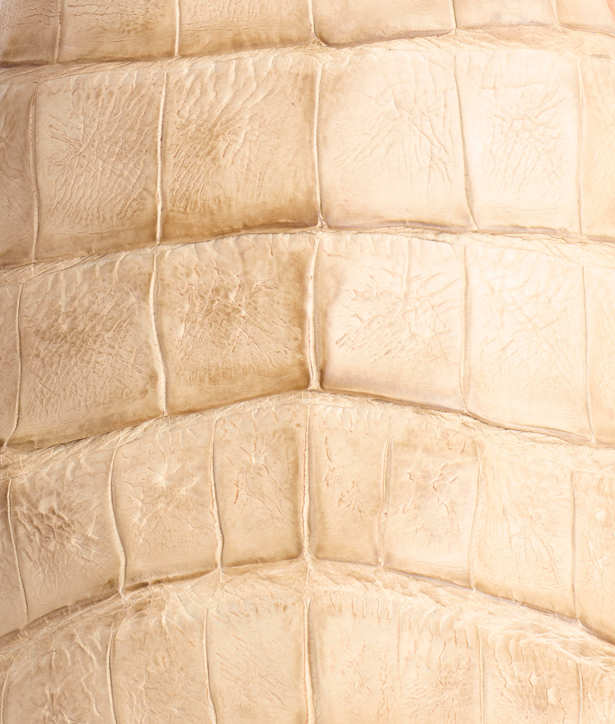 Presley Exotic :: Wheat 9