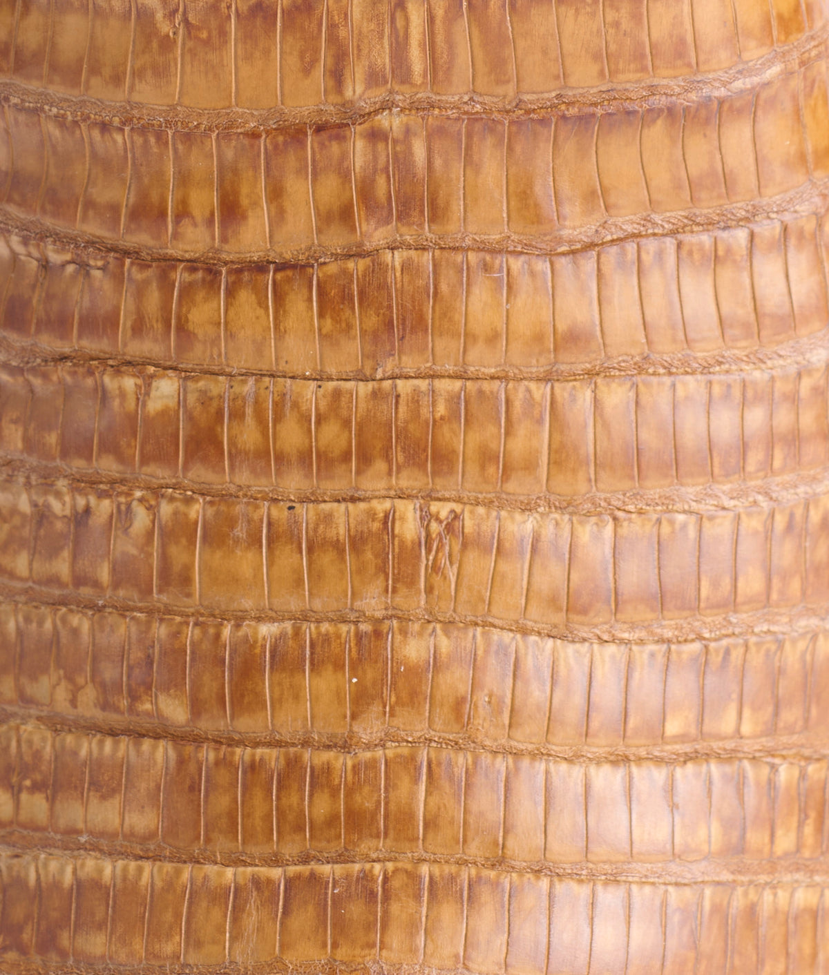 Dale Exotic :: Tan + Cream 10
