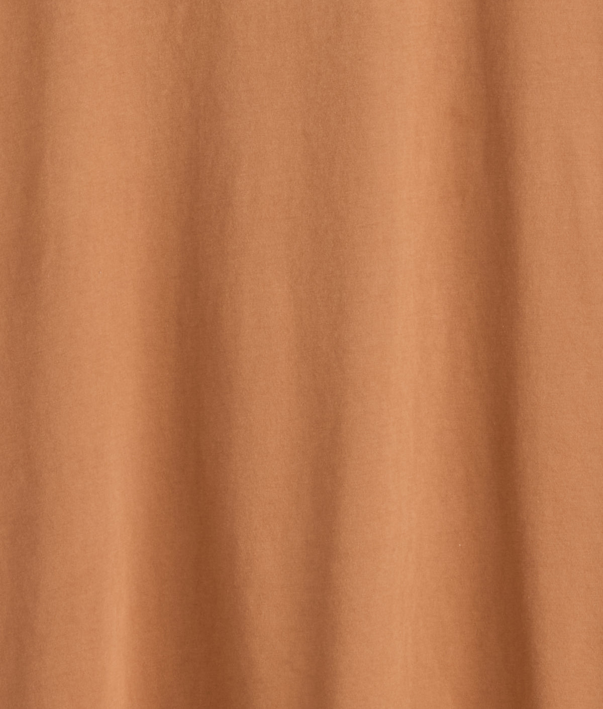 Spirit Guide Tee :: Brown 9