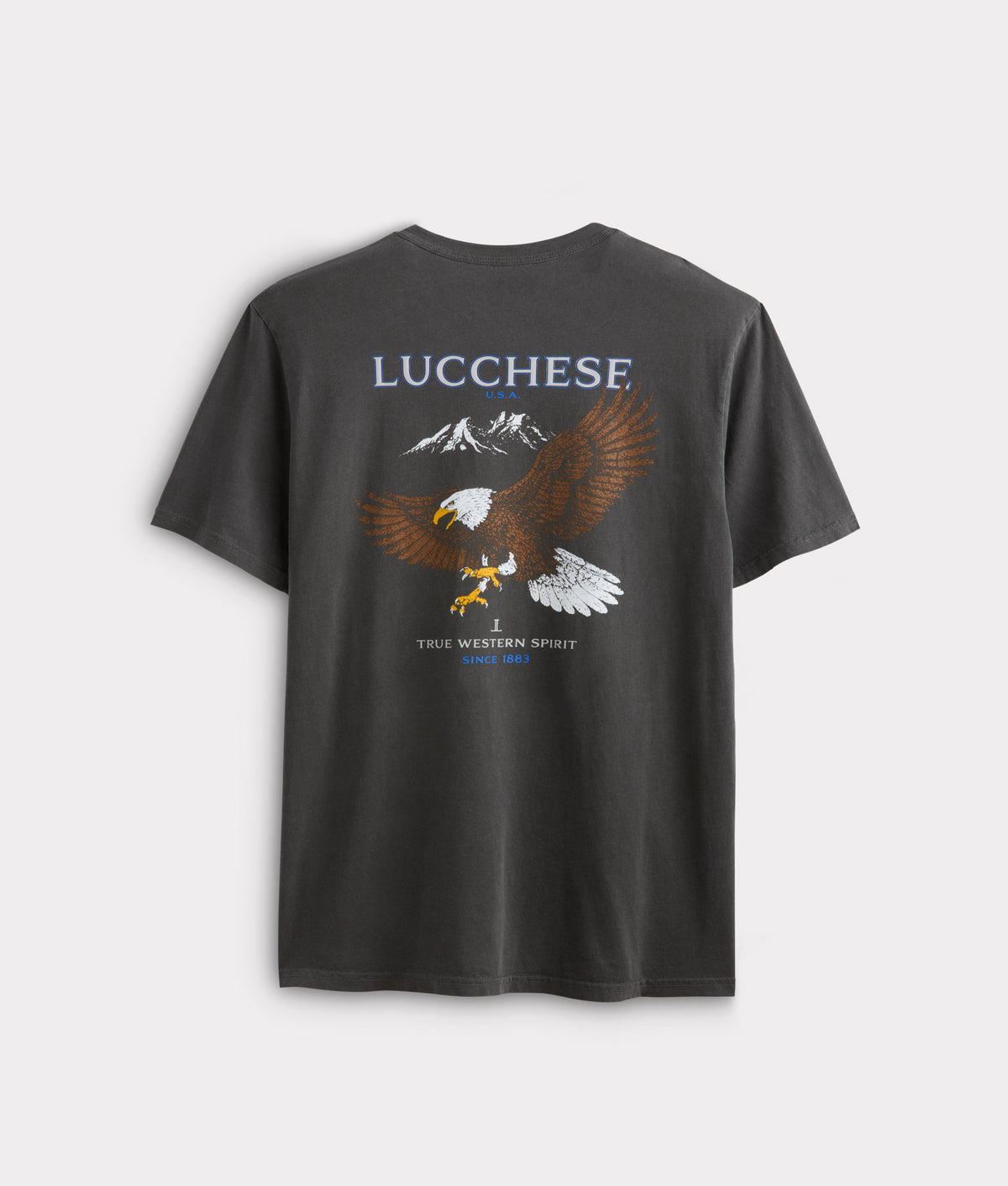 Eagle Flight Tee :: Charcoal 2