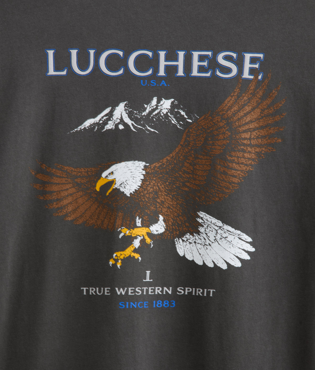 Eagle Flight Tee :: Charcoal 3