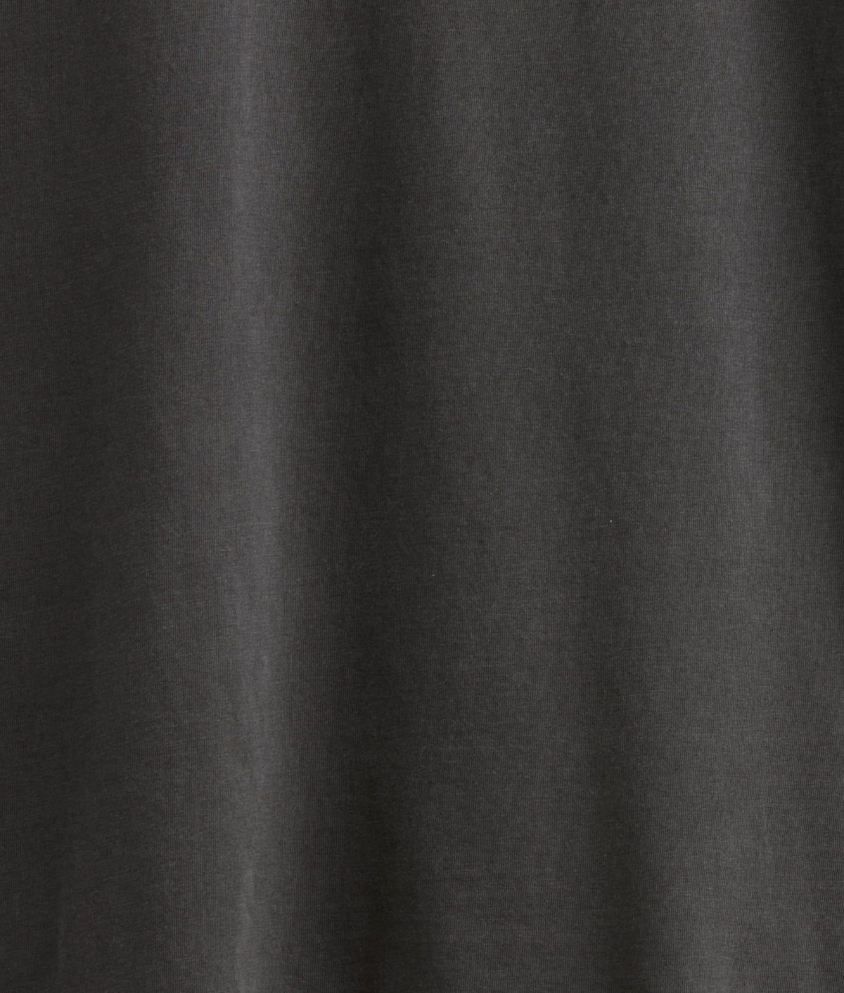 Eagle Flight Tee :: Charcoal 7
