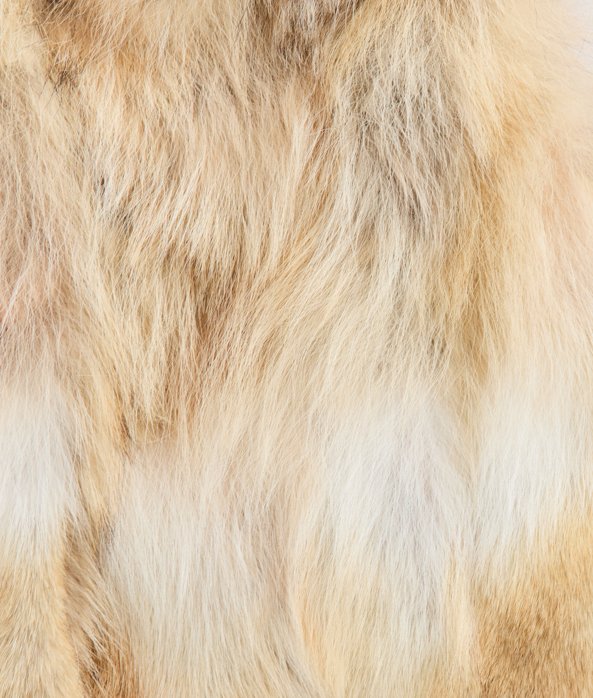 Kirsta Fur Vest :: Natural 6