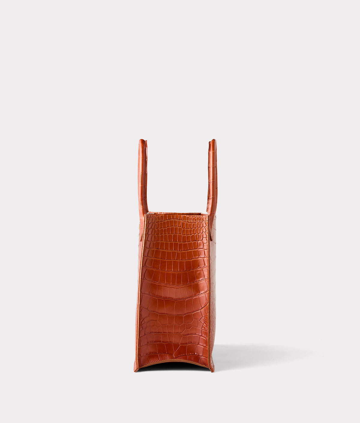 Large Alice Exotic Book Tote :: Honey 4
