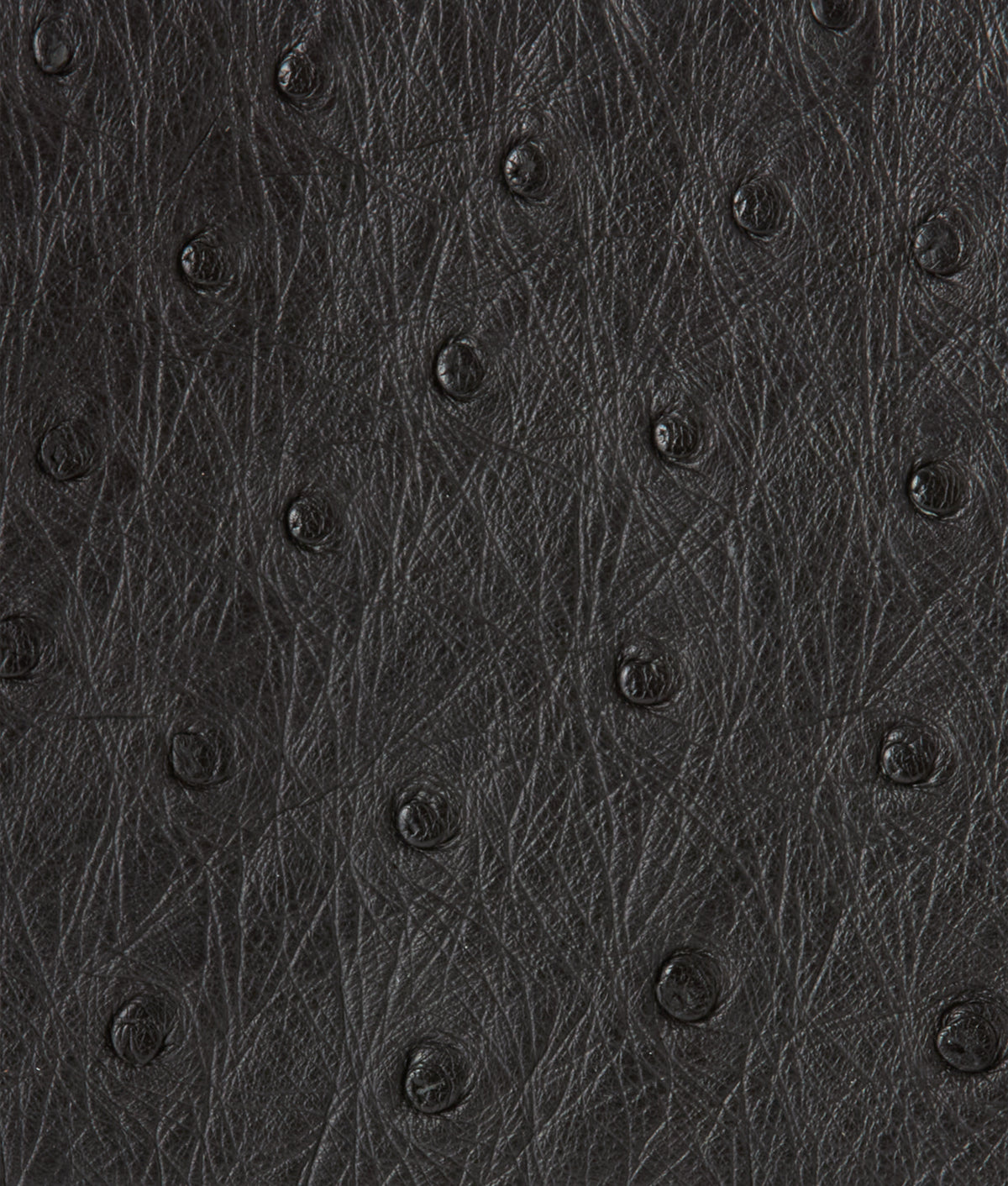 Hipster Wallet – Ostrich :: Black 4