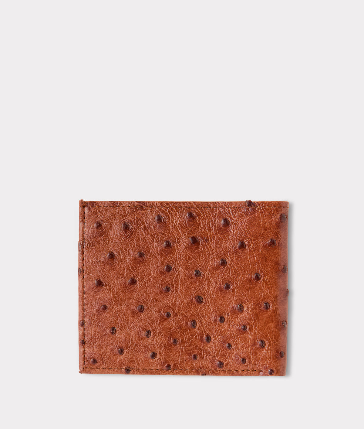 Hipster Wallet – Ostrich :: Cognac 2