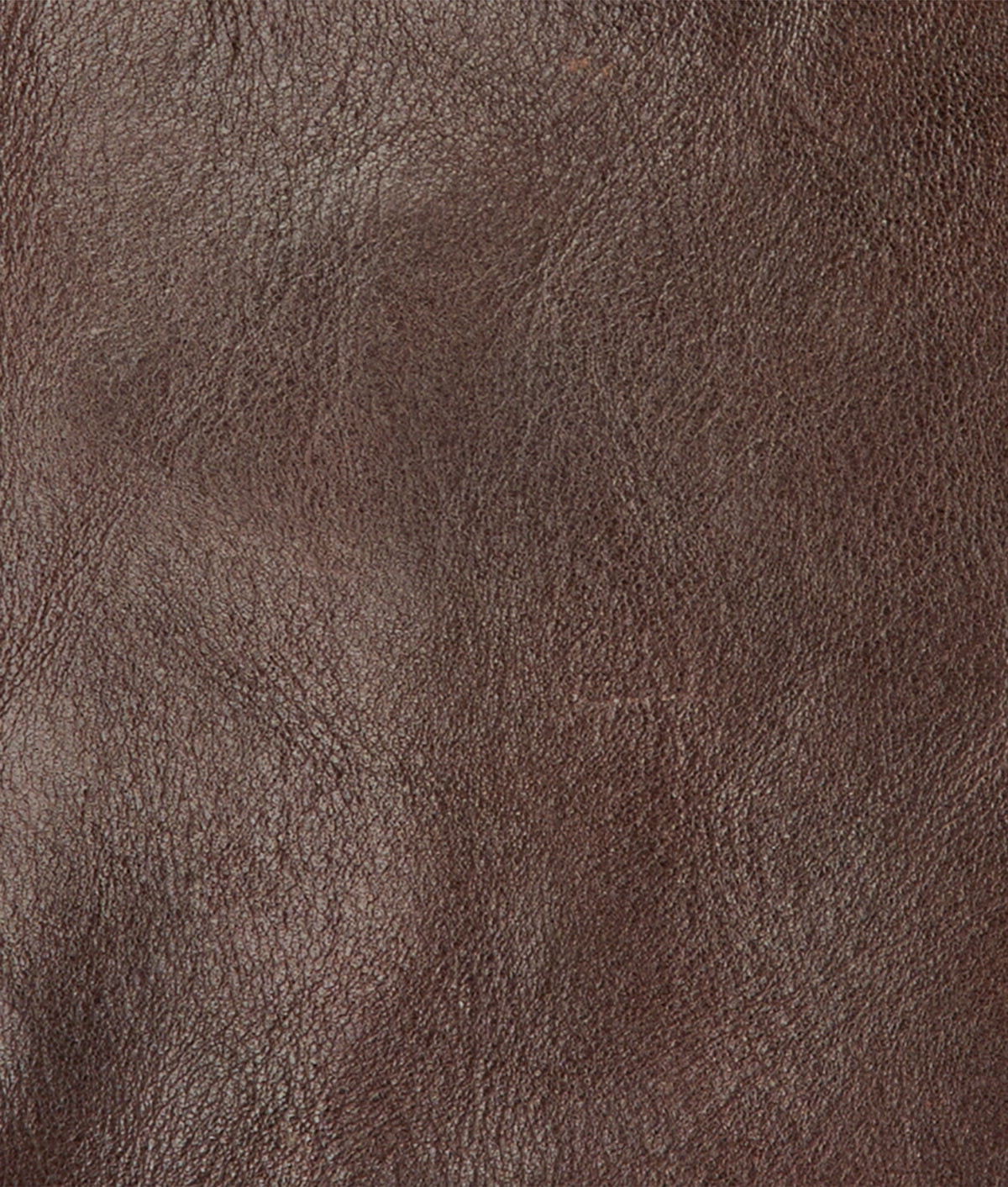 Cosimo Bifold Wallet :: Espresso 4