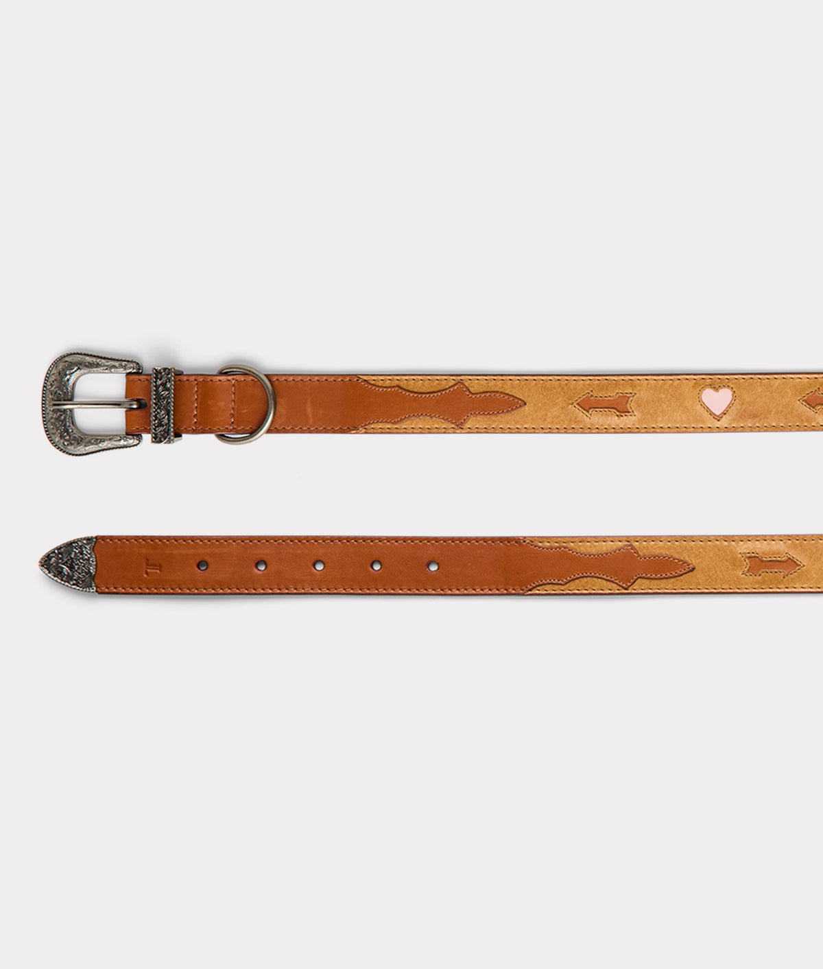 Dog Collar :: Tan 5