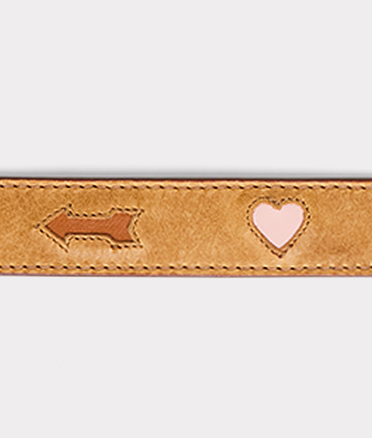 Dog Collar :: Tan 3