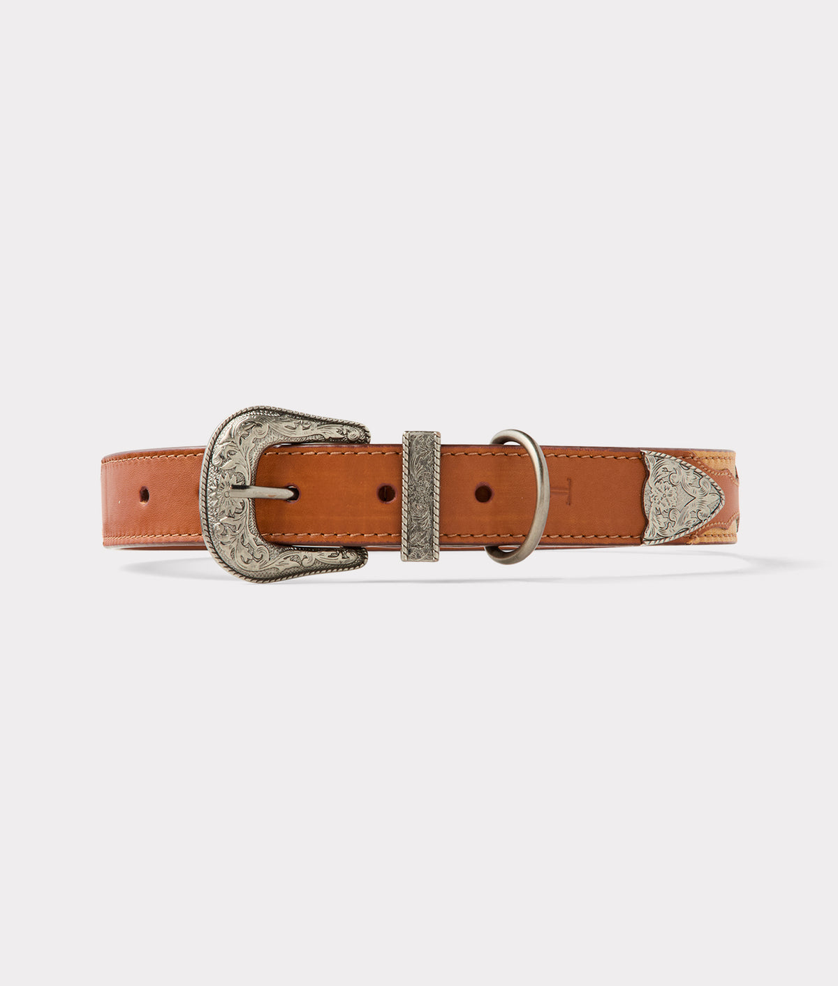 Large Dog Collar :: Tan 3