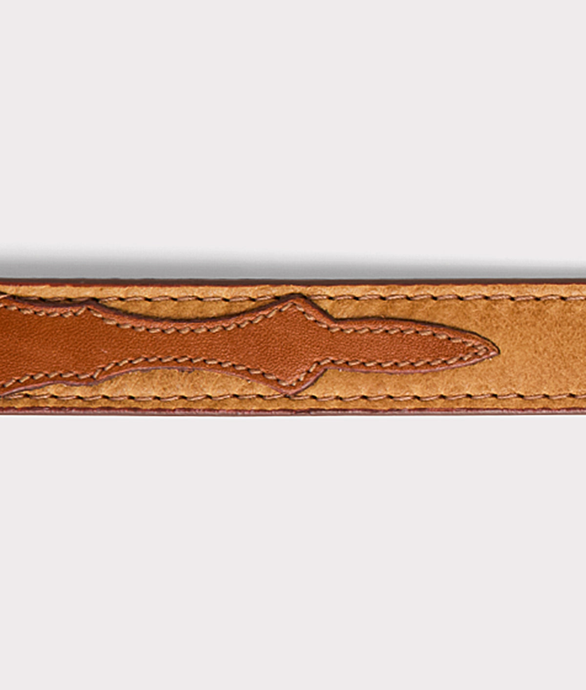 Large Dog Collar :: Tan 4