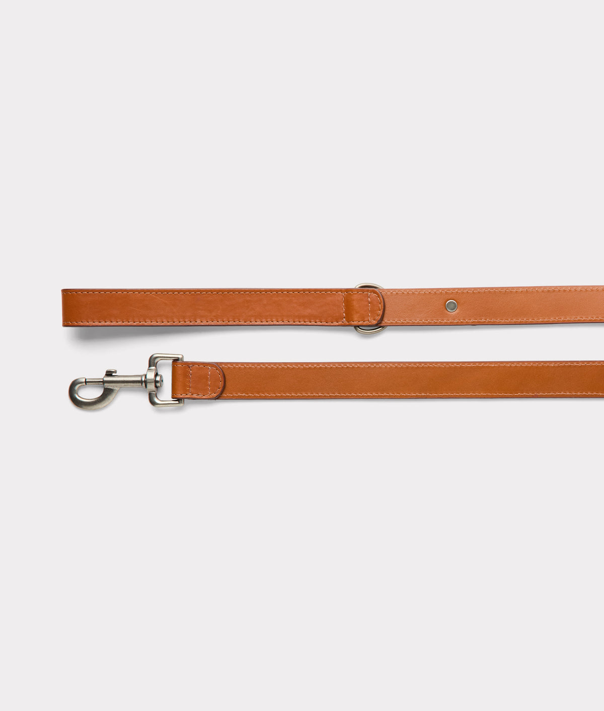 Large Dog Collar :: Tan 7