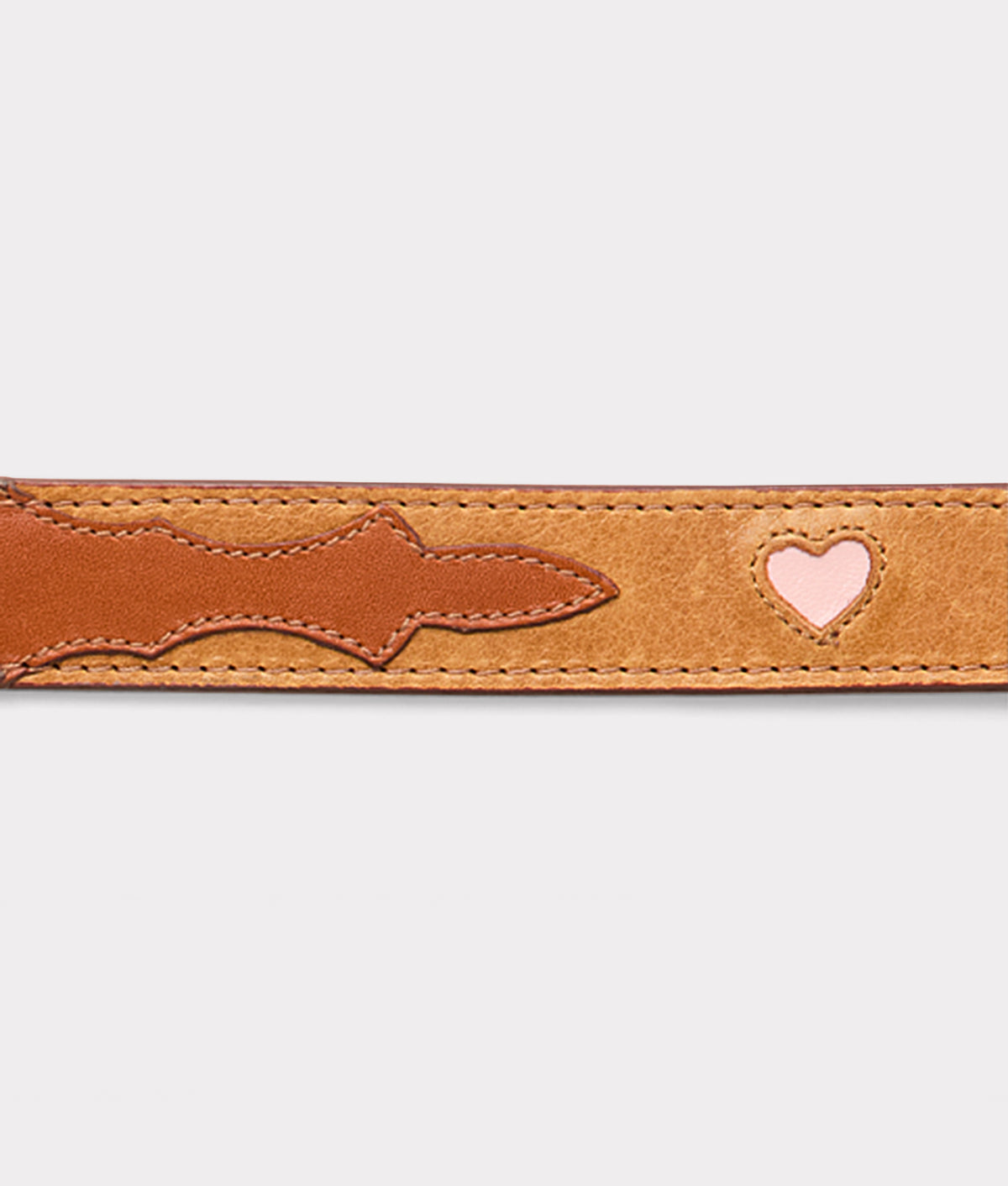 Large Dog Collar :: Tan 2