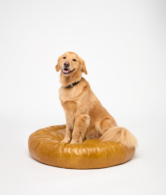Dog Bed :: Tan