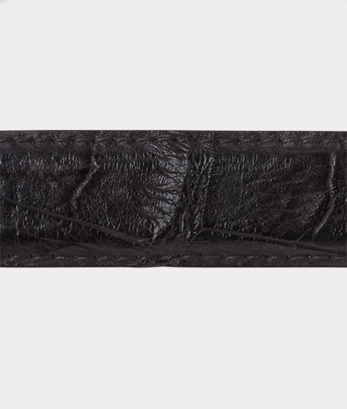 Lady Belt :: Black 4