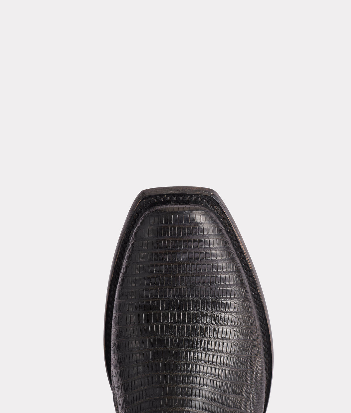 Percy :: Black 7