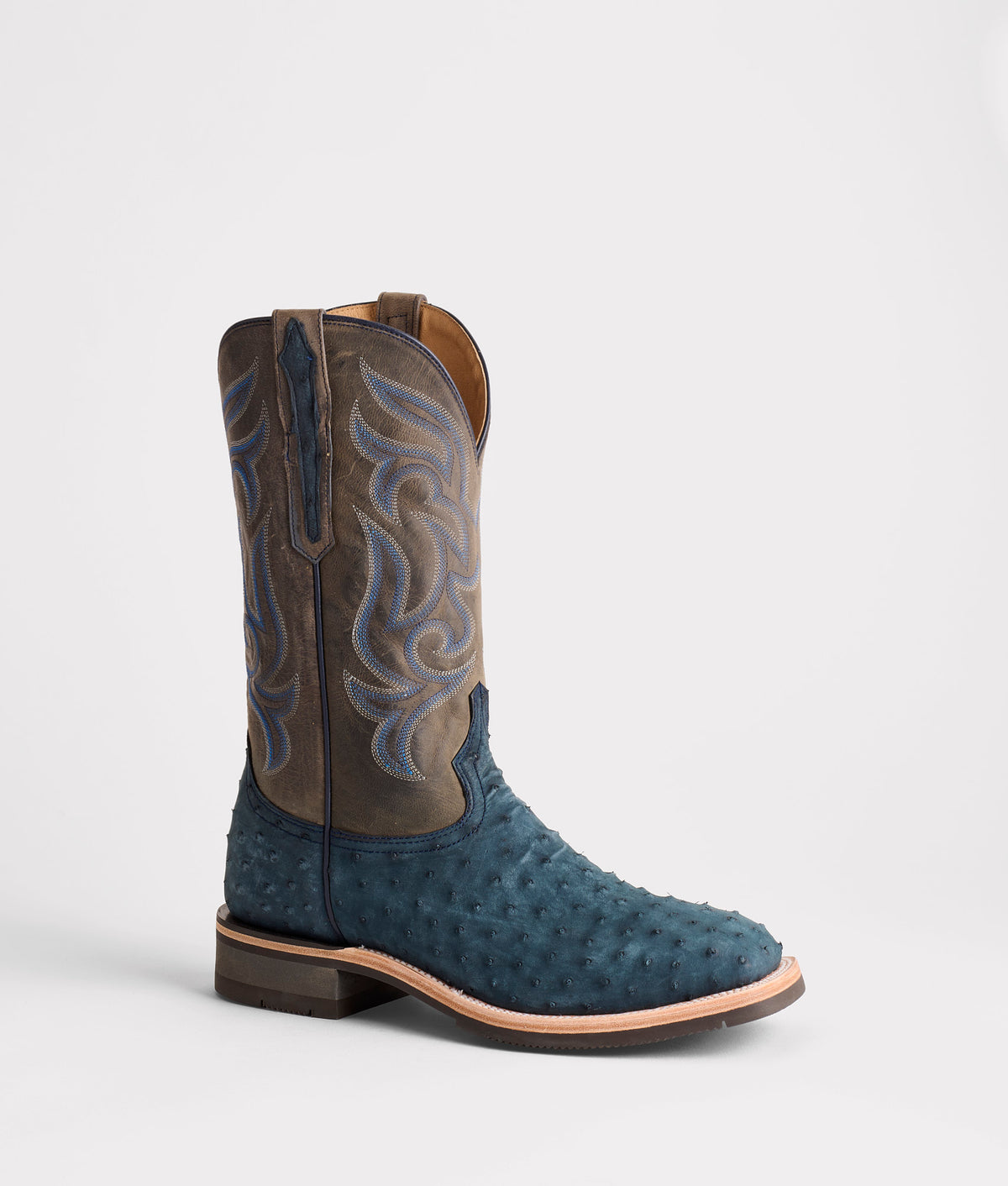 Rowdy Ostrich :: Navy 3