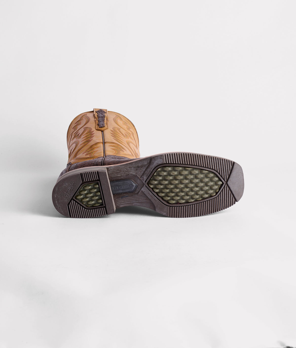 Rowdy Caiman :: Chocolate 6