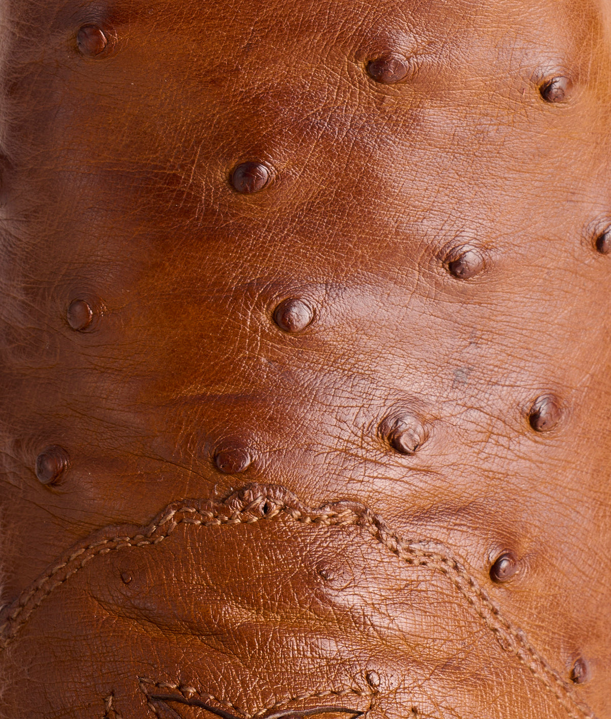 Augusta :: Tan + Camel 8