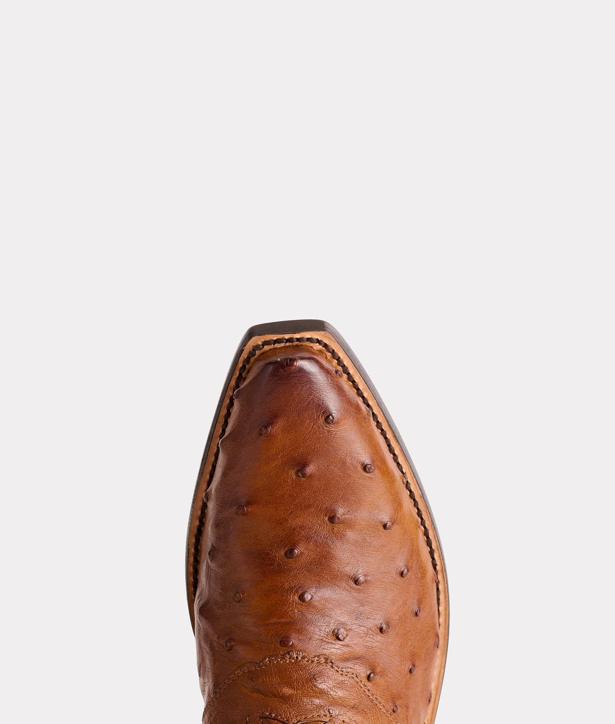 Augusta :: Tan + Camel 7
