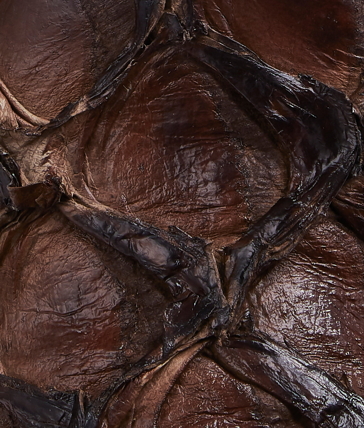 Murphy :: Chocolate 8