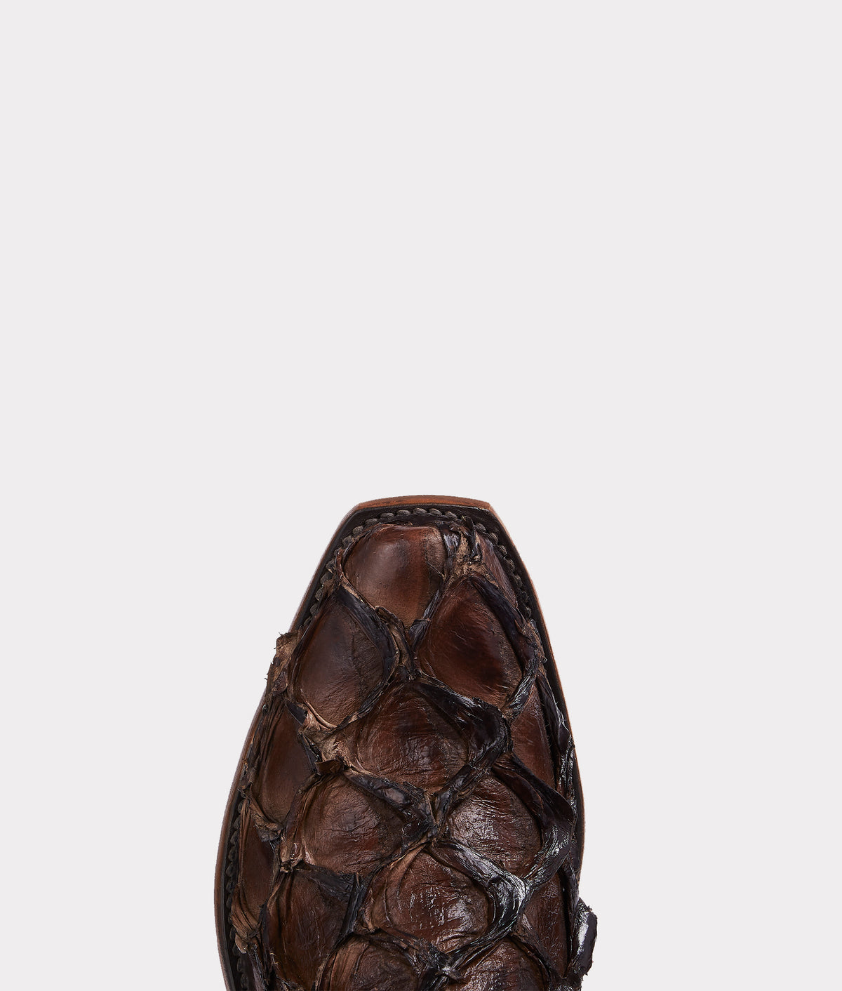 Murphy :: Chocolate 7