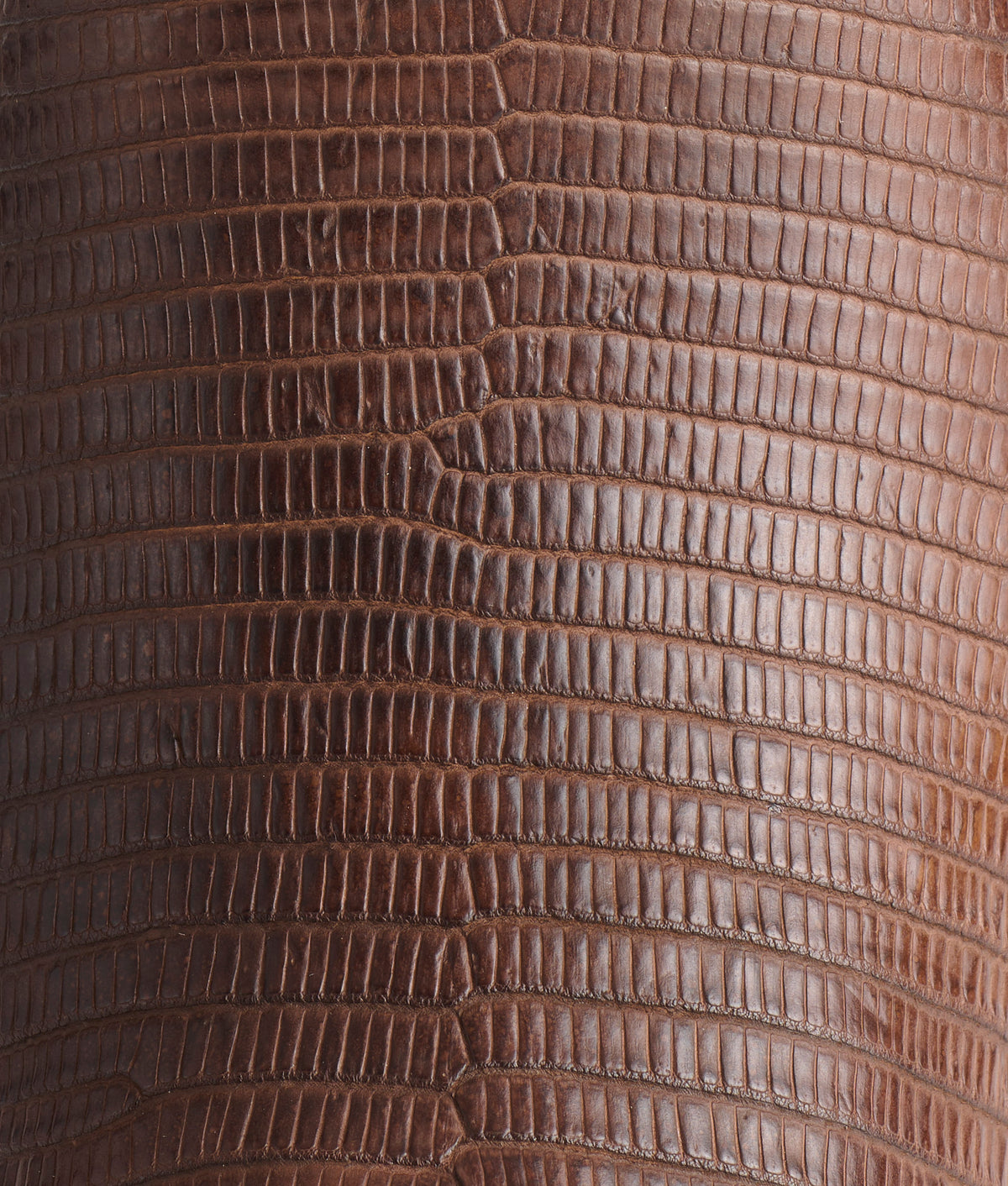 Easton :: Antique Chocolate 8