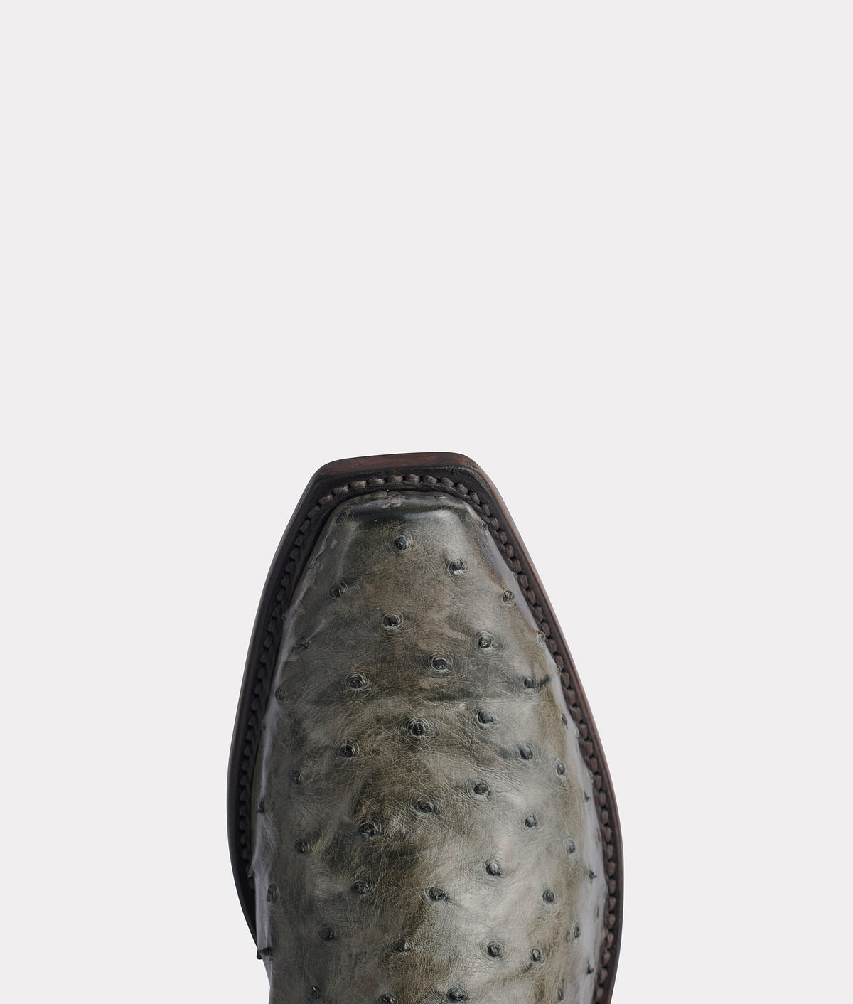 Elgin :: Anthracite 8