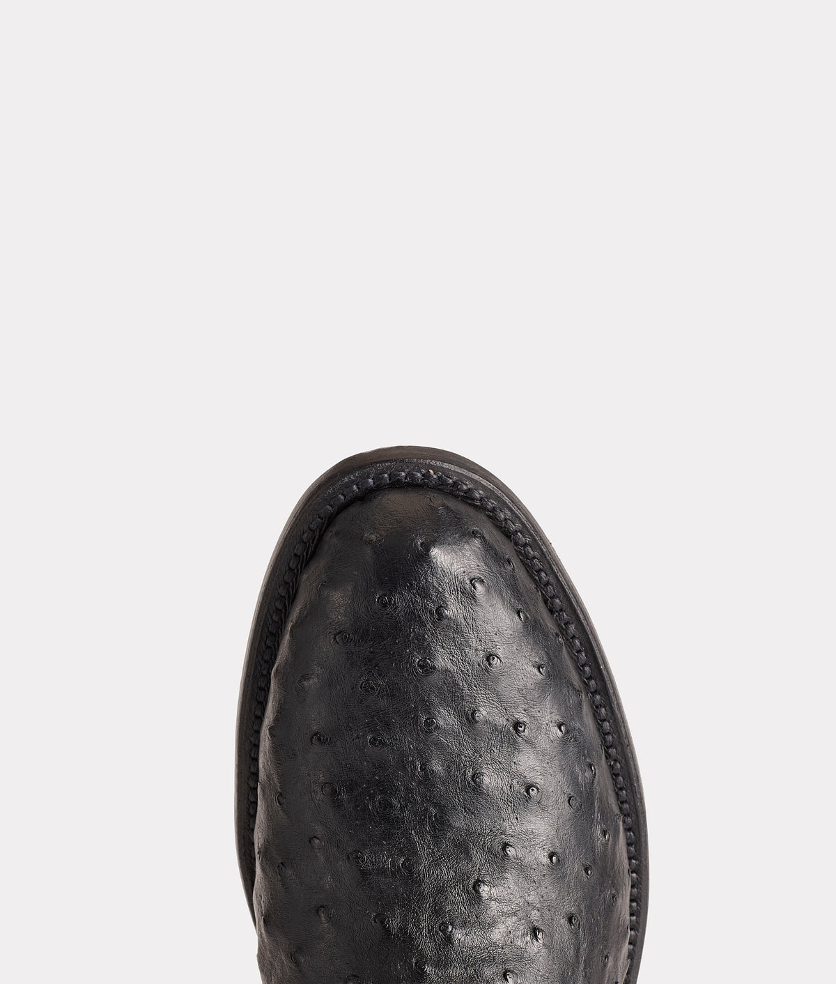 Zane :: Black 8