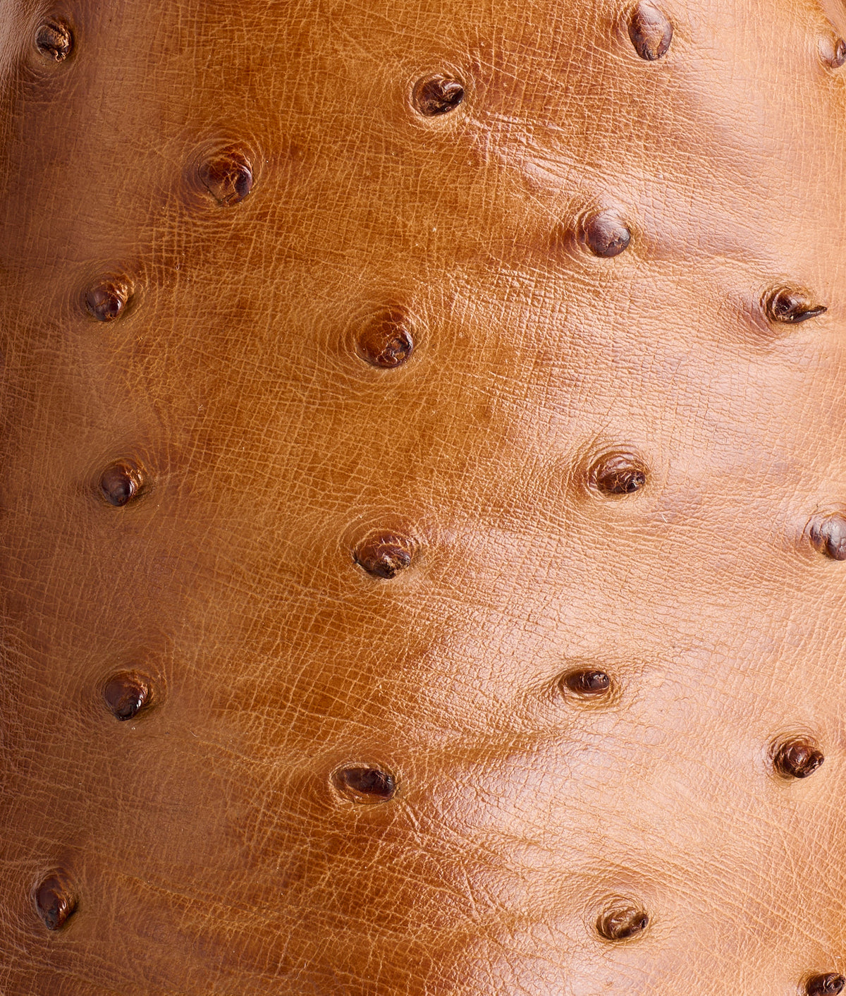 Zane :: Barnwood + Tan 10